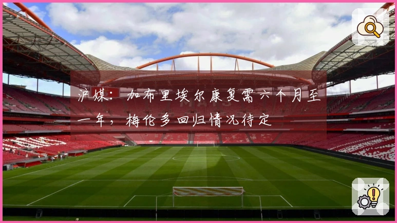 沪媒：加布里埃尔康复需六个月至一年，梅伦多回归情况待定