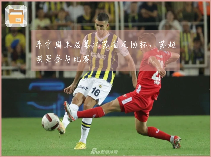 阜宁周末启幕江苏省足协杯，苏超明星参与比赛
