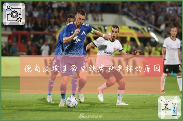德尚谈埃基蒂克缺席世界杯的原因
